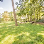 Dreyershof Land & Ruhe Apartamento Schneverdingen
