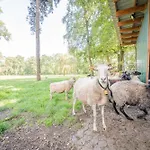Dreyershof Land & Ruhe Apartamento *