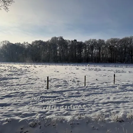 Dreyershof Land & Ruhe