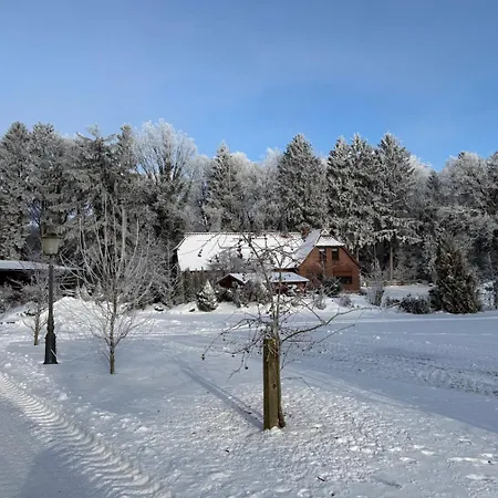 Lejlighed Dreyershof Land & Ruhe Schneverdingen