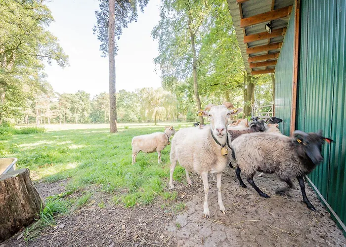 Dreyershof Land & Ruhe Appartement *