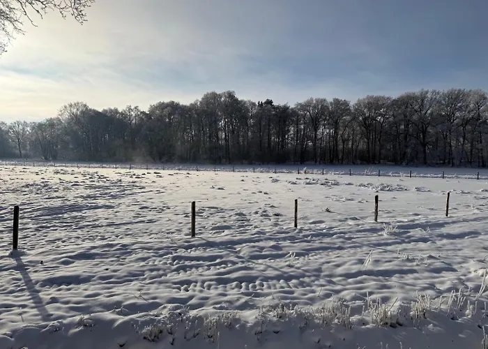 Dreyershof Land & Ruhe